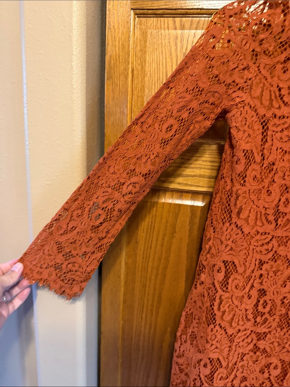 Lace Long-Sleeve Mock Neck Dress- Rust/Size: Medium - Picture 8 of 10